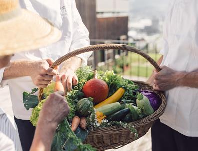 A basket full of freshly harvested vegetables